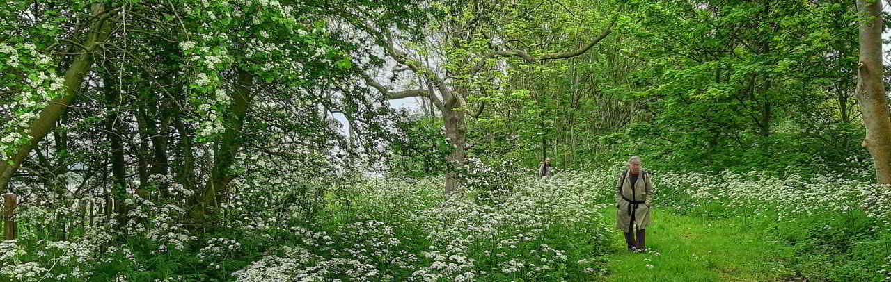 gaiologische excursie Fivelingo- helwerd